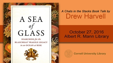 title slide featuring 'A Sea of Glass' book cover