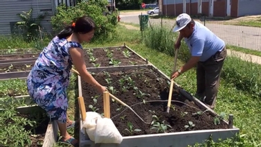 Buffalo residents till the soil in garden boxes
